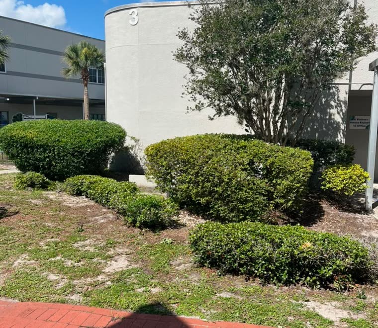 Trimmed hedges outside a commercial building in Orlando