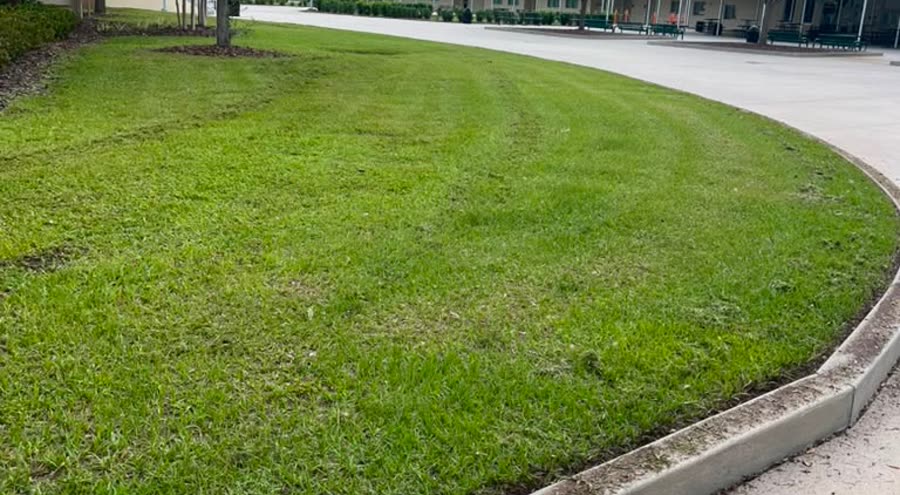 Recent Jeune-P lawn edging and mowing job in Orlando